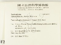 登錄號:F0026053藏品圖，第2張