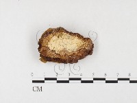 登錄號:F0026053藏品圖，第3張