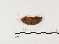 登錄號:F0026054藏品圖，第3張