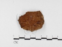 登錄號:F0026055藏品圖，第1張
