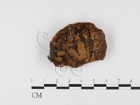 登錄號:F0026055藏品圖，第3張