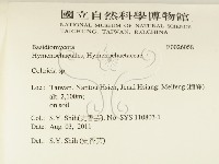 集毛菌屬藏品圖，第2張