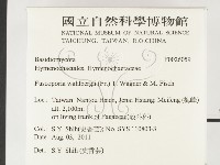 登錄號:F0026059藏品圖，第2張