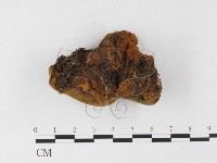 登錄號:F0026060藏品圖，第3張