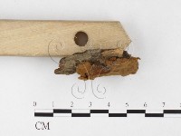 登錄號:F0026062藏品圖，第3張