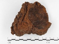 登錄號:F0026064藏品圖，第1張