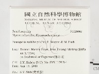 登錄號:F0026065藏品圖，第2張