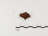 登錄號:F0026067藏品圖，第3張