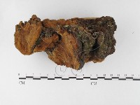 登錄號:F0026068藏品圖，第1張