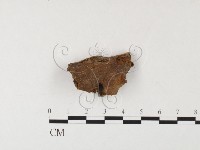 登錄號:F0026073藏品圖，第1張