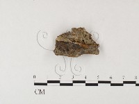 登錄號:F0026073藏品圖，第3張