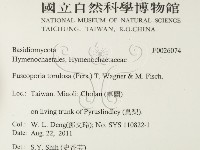 登錄號:F0026074藏品圖，第2張