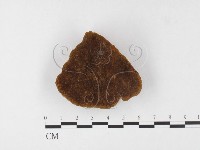 登錄號:F0026075藏品圖，第1張