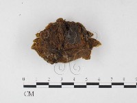 登錄號:F0026076藏品圖，第4張