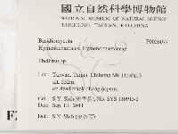 木層孔菌屬藏品圖，第2張