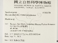 木層孔菌屬藏品圖，第2張