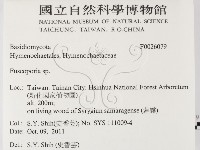 登錄號:F0026079藏品圖，第2張