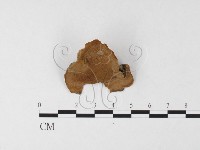 登錄號:F0026079藏品圖，第1張