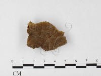 登錄號:F0026080藏品圖，第1張