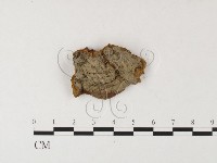 登錄號:F0026080藏品圖，第3張