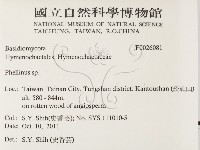 木層孔菌屬藏品圖，第2張