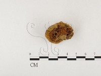 登錄號:F0026083藏品圖，第3張