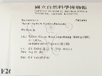 木層孔菌屬藏品圖，第2張