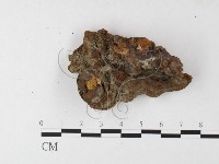 登錄號:F0026089藏品圖，第3張