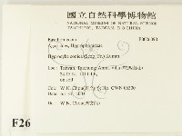 登錄號:F0026090藏品圖，第2張