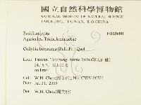 登錄號:F0026091藏品圖，第2張