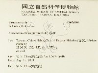 登錄號:F0026094藏品圖，第2張