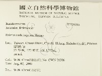 登錄號:F0026095藏品圖，第2張