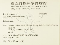 粉褶菌屬藏品圖，第2張