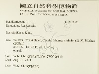 登錄號:F0026099藏品圖，第2張