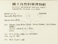 登錄號:F0026100藏品圖，第2張