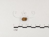 登錄號:F0026102藏品圖，第1張