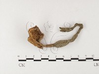 登錄號:F0026103藏品圖，第1張