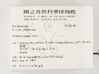 登錄號:F0026106藏品圖，第2張