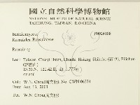 紅菇屬藏品圖，第2張