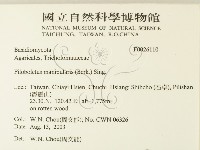 登錄號:F0026110藏品圖，第2張