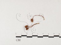 登錄號:F0026110藏品圖，第3張