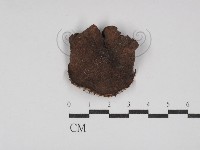 登錄號:F0026114藏品圖，第1張