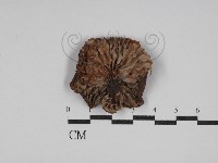 登錄號:F0026114藏品圖，第3張