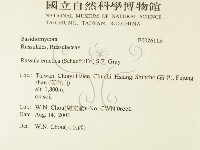 登錄號:F0026115藏品圖，第2張