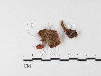 登錄號:F0026115藏品圖，第3張