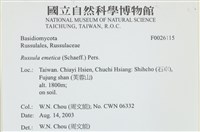 登錄號:F0026115藏品圖，第4張