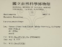 登錄號:F0026116藏品圖，第2張