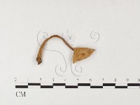 登錄號:F0026116藏品圖，第3張