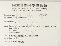 微皮傘屬藏品圖，第2張