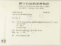 登錄號:F0026119藏品圖，第2張